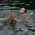 IMG 0234