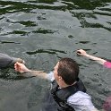 IMG 0241