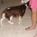DSC01244