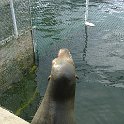 DSC03749