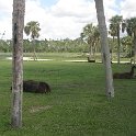 P6210706