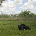 P6210708