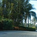 DSC00283