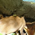 DSC02584