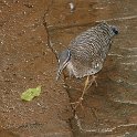 DSC02590