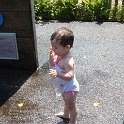 DSC00626
