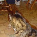 DSC01404