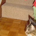 DSC01582