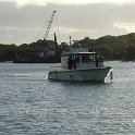 DSC04181