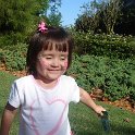 DSC02386