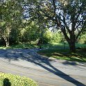 DSC04747