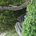 DSC04836