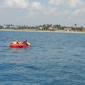 DSC02906