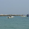 DSC05847