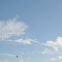 DSC 1827