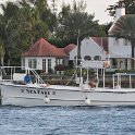DSC 1833