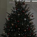 DSC 0917