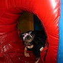 DSC05910