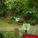 DSC02001