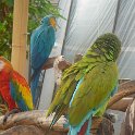 DSC02007