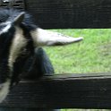 DSC05611