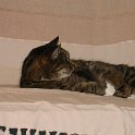 DSC05228