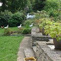 DSC05435
