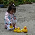 DSC05441