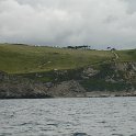 DSC05466