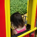 DSC05131