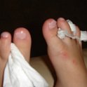DSC03162