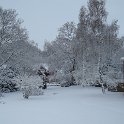 DSC00116