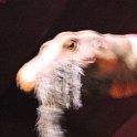 DSC 4375
