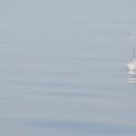 DSC 7708