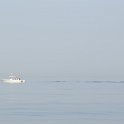 DSC 7713