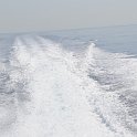 DSC 7723