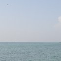 DSC 7756