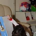 DSC 0195