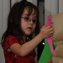 DSC 0231