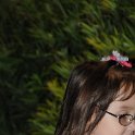 DSC 9528