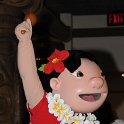 DSC 9559
