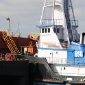 DSC 0247