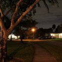 DSC 3195
