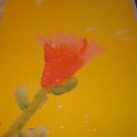 DSC00040