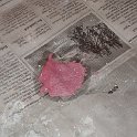 DSC00048