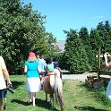 DSC00279