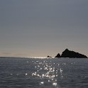 DSC 6461