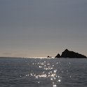 DSC 6462