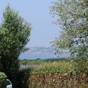 DSC 6915