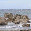 DSC 7137